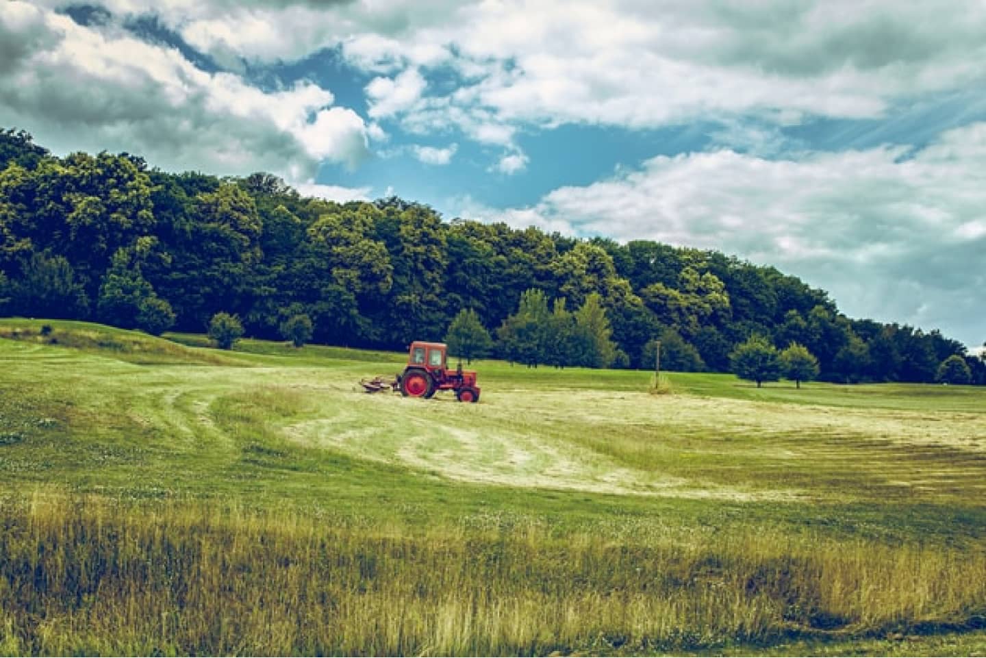 Texas A&M AgriLife Extension Service