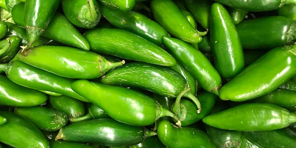 Jalapeno Peppers Season Nutrition How To Eat Store Cook Texasrealfood