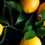 Meyer Lemons