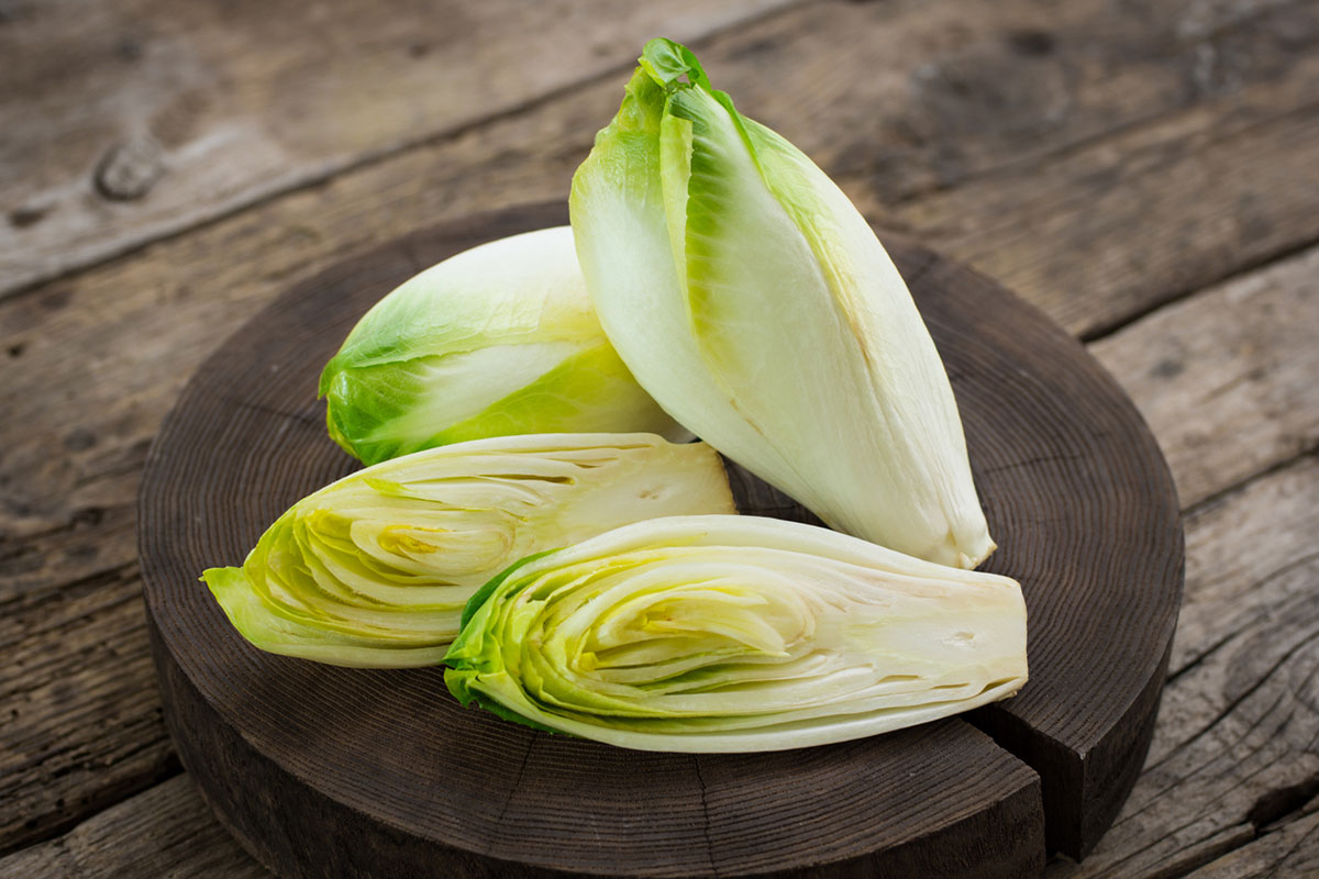 Endive Production Enjoying Guide TexasRealFood