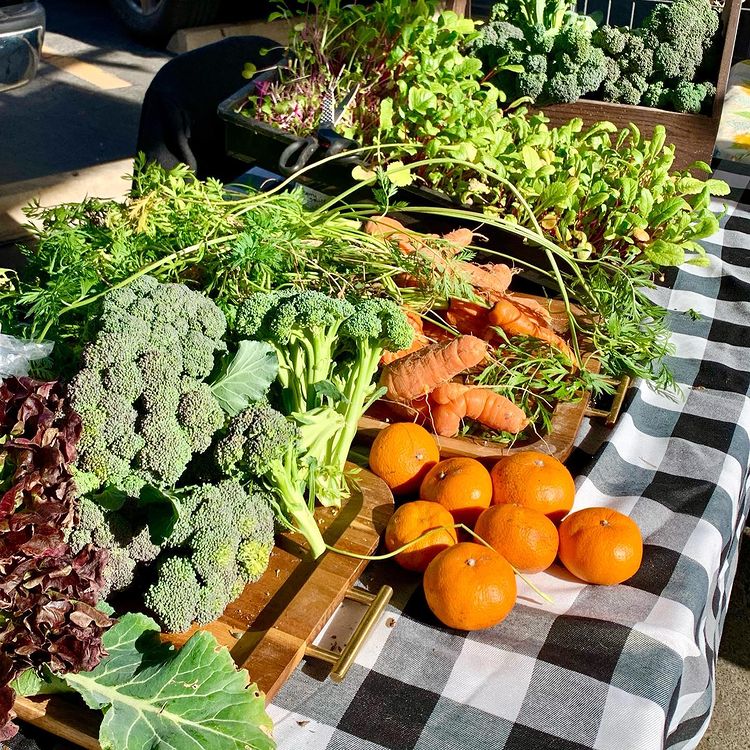 New Braunfels Farmers Market - New Braunfels, TX | Farmers Markets ...