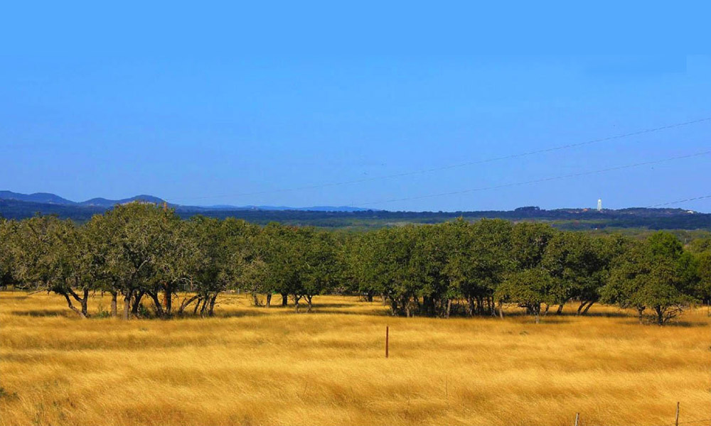 Pipe Creek, TX - Local Food Businesses - TexasRealFood houses for sale in london