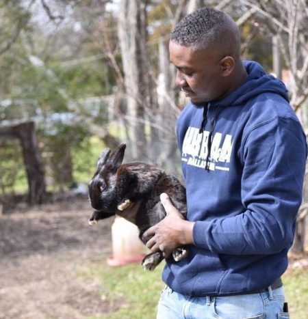 Urban Dallas Farm and Rabbitry